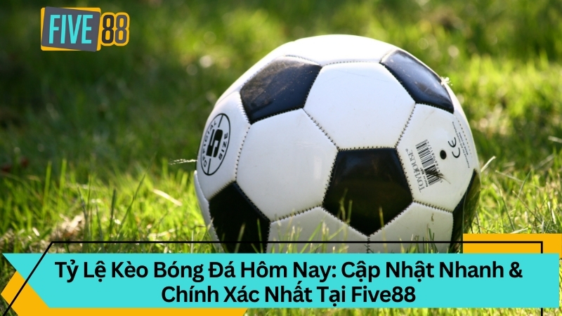 Tỷ Lệ Kèo Bóng Đá Hôm Nay Cập Nhật Chính Xác Tại Five88
